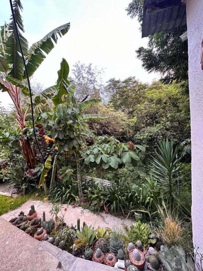 Cabana Campestre En Oaxaca מראה חיצוני תמונה